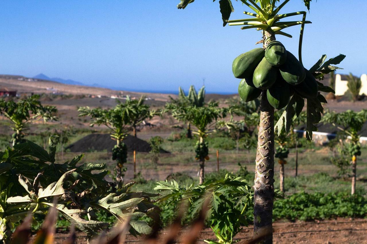 Finca Arbequina Pájara Esterno foto