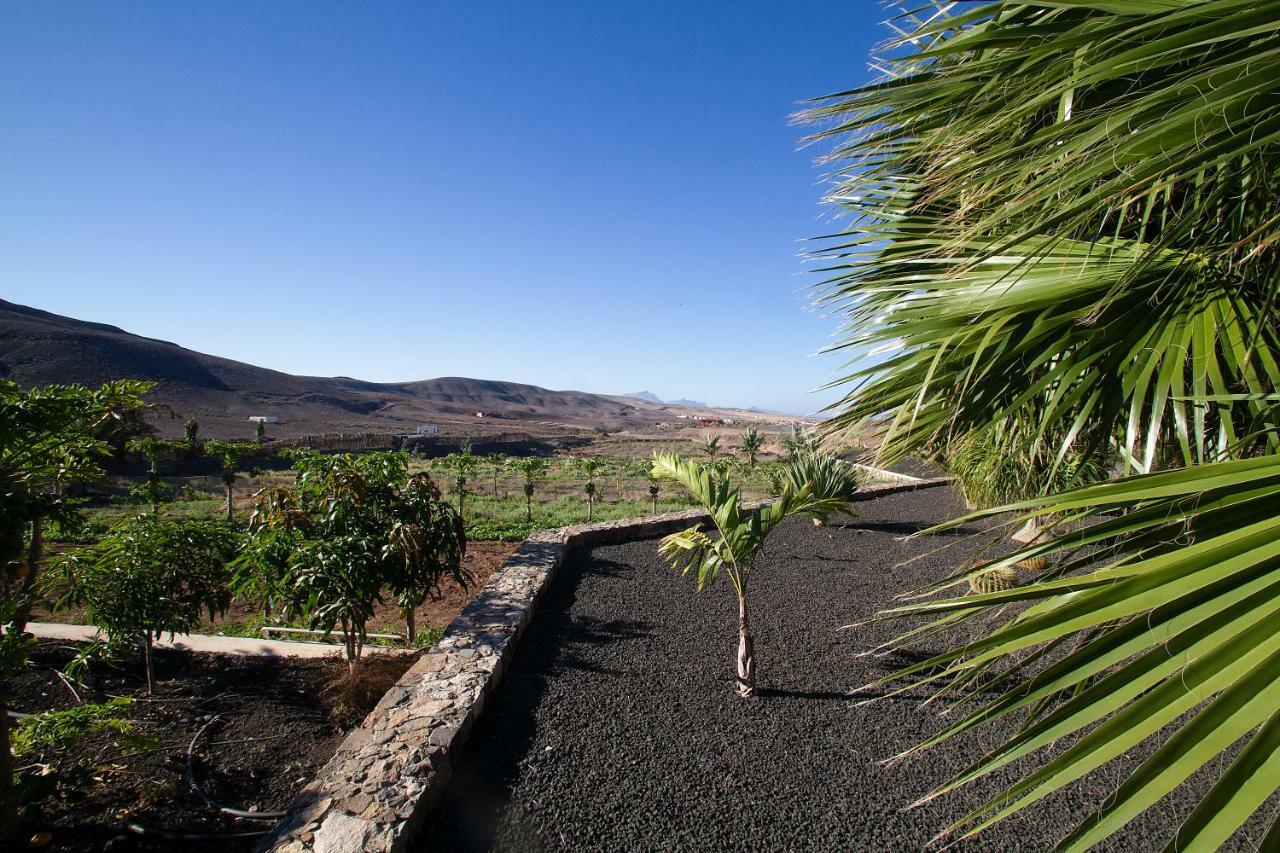 Finca Arbequina Pájara Esterno foto