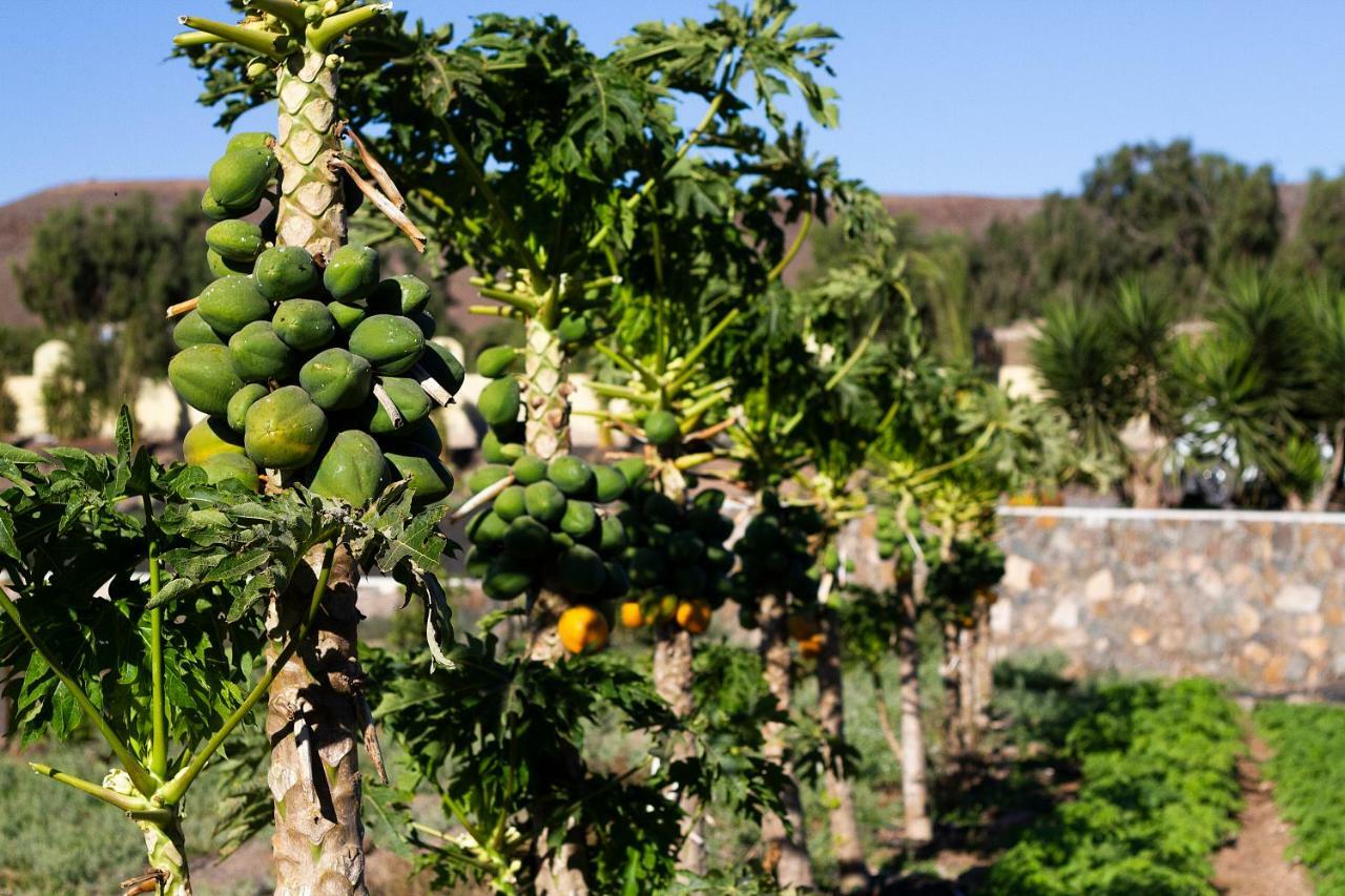 Finca Arbequina Pájara Esterno foto
